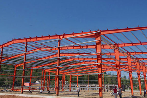 Shangluo Shanyang Jinji voerfabriek