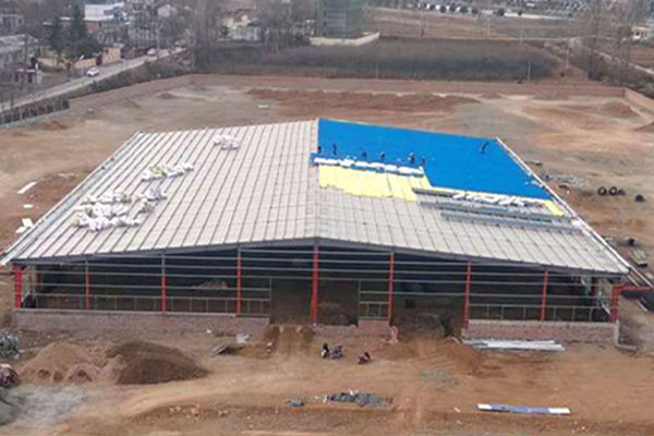 Shangluo Shanyang Gouden Eiproductenfabriek
