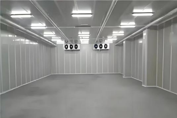 Wichtige Überlegungen für den modernen Kühlhausbau mit Stahlkonstruktion
