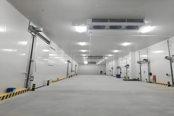 Küresel Soğuk Zincir Altyapısının Yükseltilmesi, Çelik Yapı Soğuk Hava Depo Tesislerinin Benimsenmesini Sağlıyor